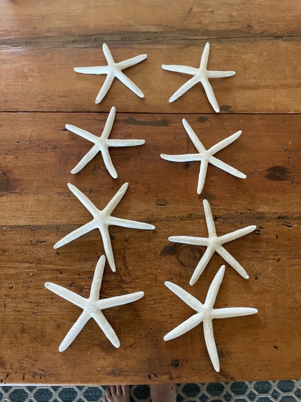 Set of Eight White Decorative Starfish